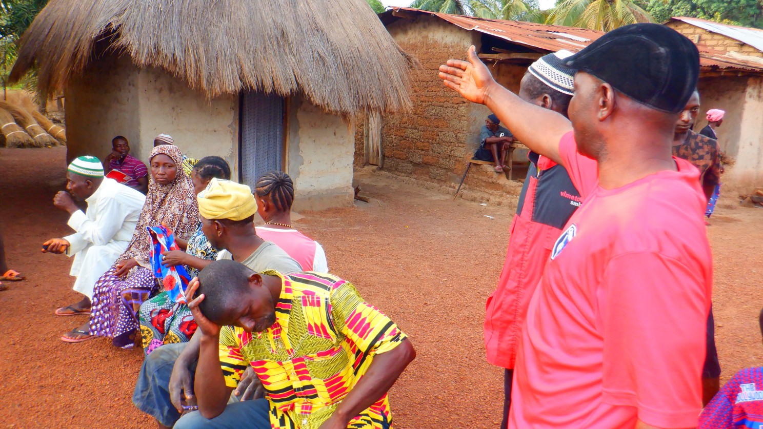 Meeting of Kamawornie village elders with Develop Africa representatives